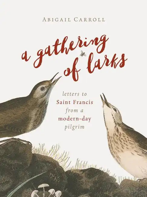 A Gathering of Larks: Letters to Saint Francis from a Modern-Day Pilgrim - Paperback