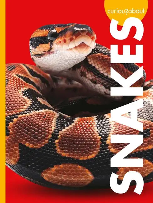 Curious about Snakes - Paperback