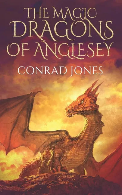 The Magic Dragons of Anglesey: The Rock Goblins - Paperback