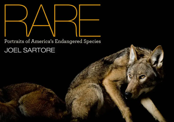 Rare: Portraits of America's Endangered Species - Hardcover