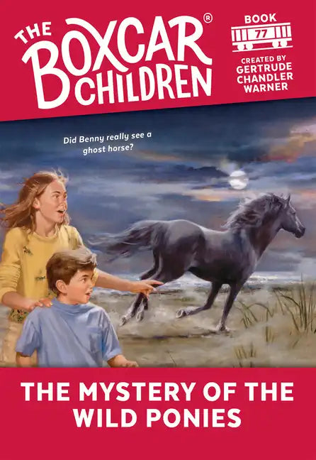 The Mystery of the Wild Ponies - Paperback