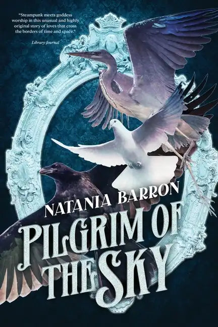 Pilgrim of the Sky - Paperback