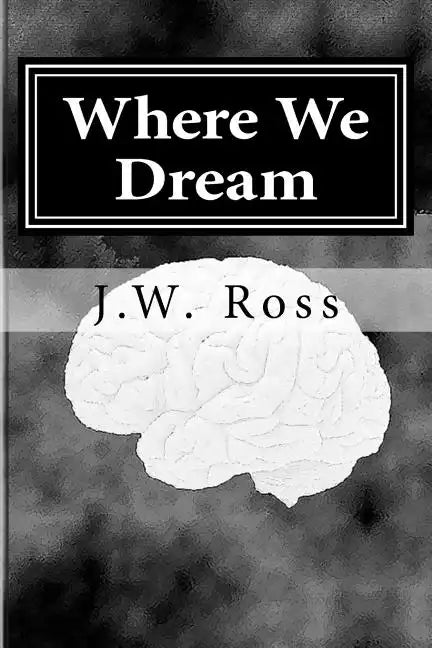 Where We Dream: Damien Black is a young boy who creates a fantasy world around himself to escape his cancer diagnosis. - Paperback