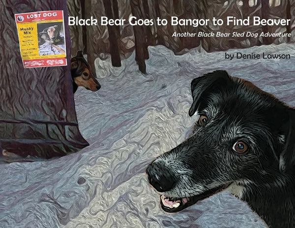 Black Bear Goes to Bangor to Find Beaver: Another Black Bear Sled Dog Adventure - Paperback
