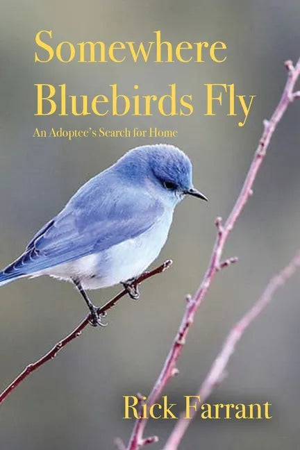Somewhere Bluebirds Fly: An Adoptee's Search for Home - Paperback