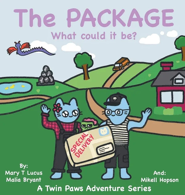 The Package: What could it be? - Hardcover