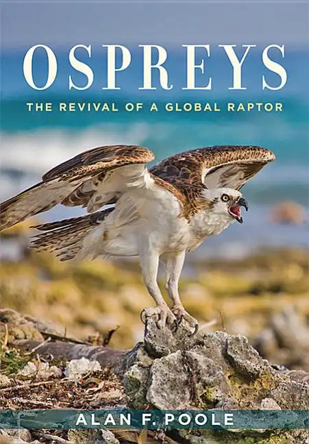 Ospreys: The Revival of a Global Raptor - Hardcover