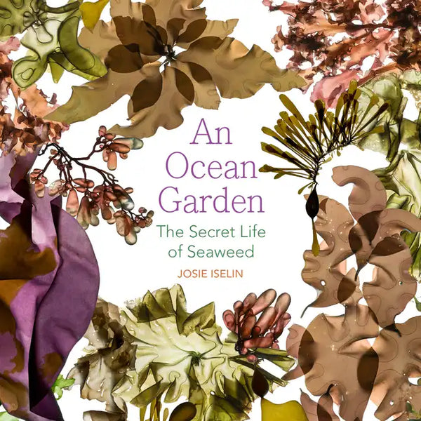 An Ocean Garden: The Secret Life of Seaweed - Paperback