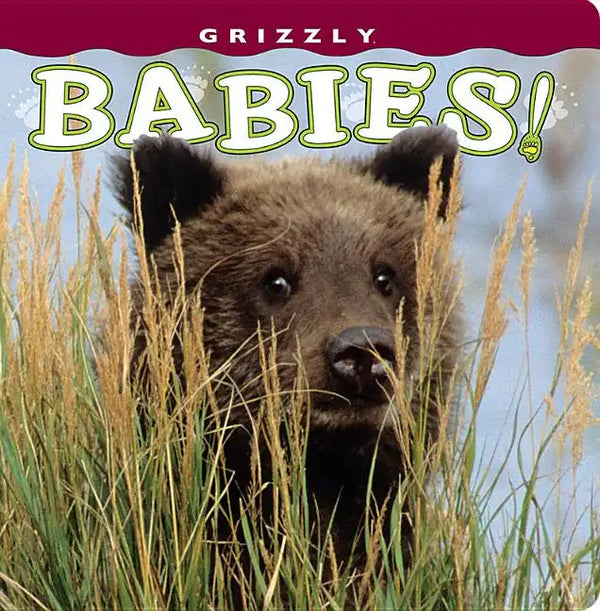Grizzly Babies! - Board Book