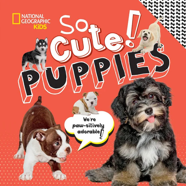 So Cute! Puppies - Library Binding
