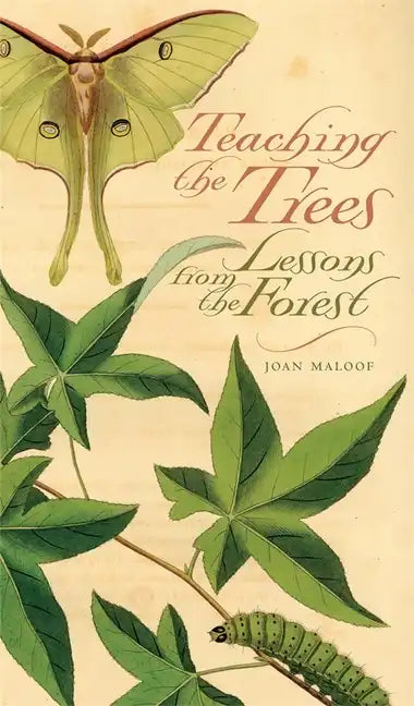 Teaching the Trees: Lessons from the Forest - Paperback
