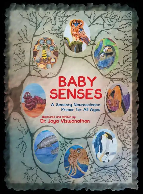 Baby Senses: A Sensory Neuroscience Primer for All Ages - Hardcover