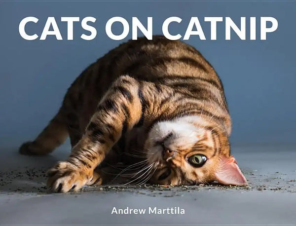 Cats on Catnip - Hardcover