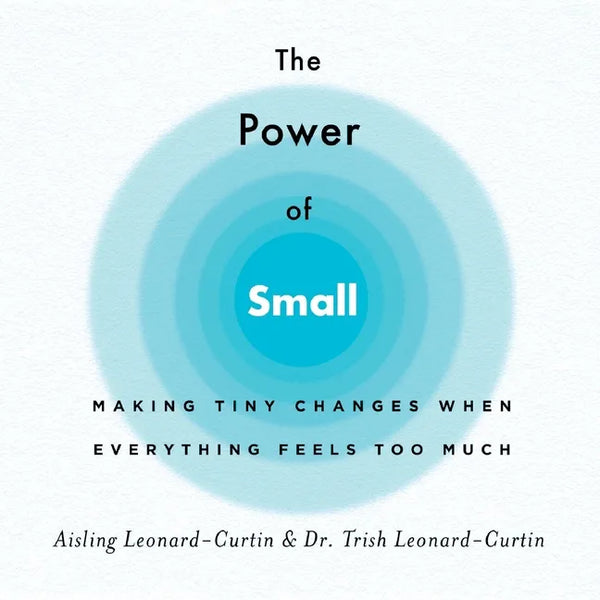 The Power of Small: Making Tiny Changes When Everything Feels Too Much - Paperback