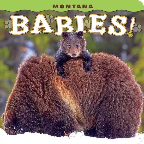 Montana Babies! - Hardcover