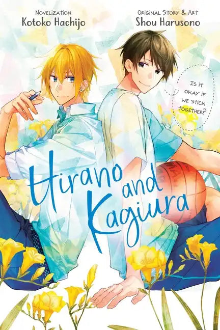 Hirano and Kagiura (Novel) - Paperback