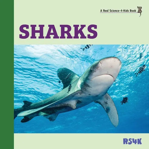 Sharks - Paperback