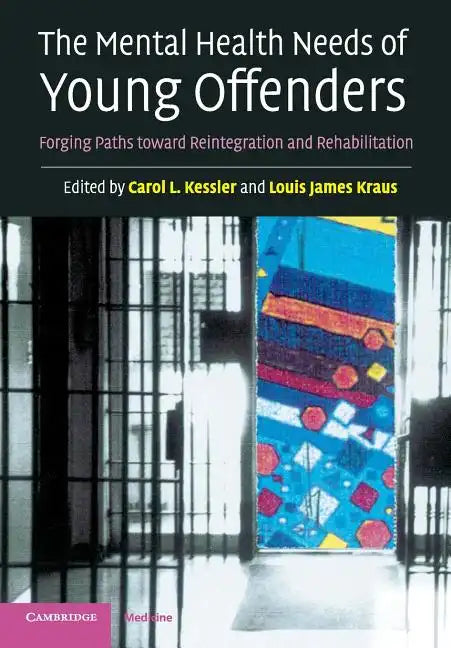 The Mental Health Needs of Young Offenders - Paperback