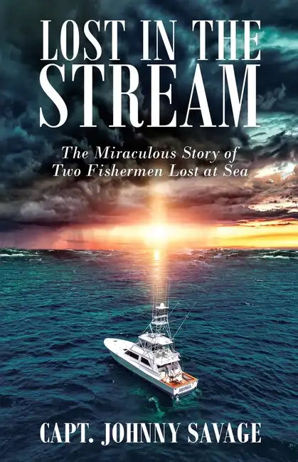 Lost in the Stream - Paperback