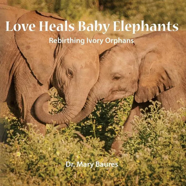 Love Heals Baby Elephants; Rebirthing Ivory Orphans - Paperback