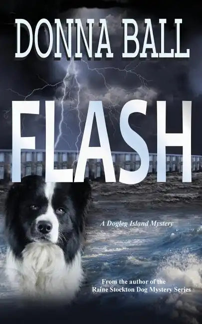 Flash - Paperback