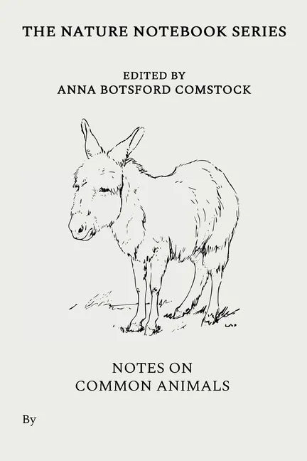 Notes on Common Animals - Paperback