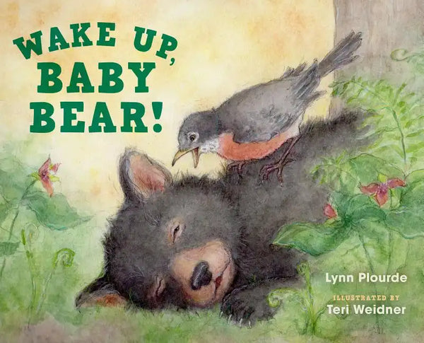 Wake Up, Baby Bear! - Hardcover