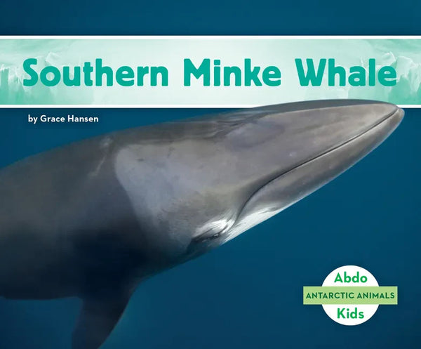 Southern Minke Whale - Library Binding