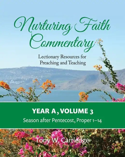 Nurturing Faith Commentary, Year A, Volume 3: Lectionary Resources for Preaching and Teaching-Season after Pentecost: Proper 1-14 - Paperback