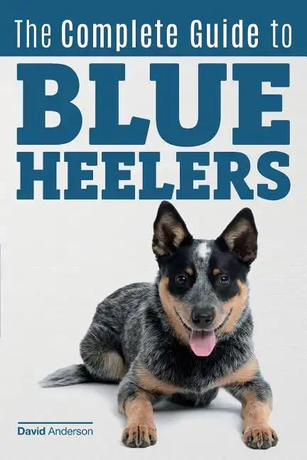 The Complete Guide to Blue Heelers - aka The Australian Cattle Dog. Learn About Breeders, Finding a Puppy, Training, Socialization, Nutrition, Groomin - Paperback