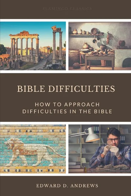 Bible Difficulties: How to Approach Difficulties In the Bible - Paperback