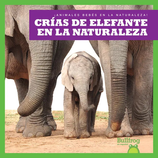 Crías de Elefante En La Naturaleza (Elephant Calves in the Wild) - Paperback