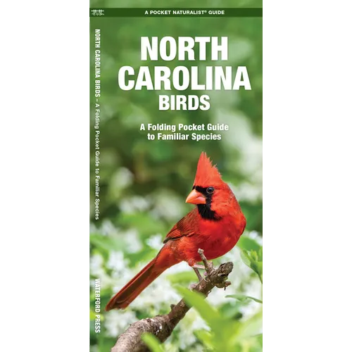 North Carolina Birds - Paperback