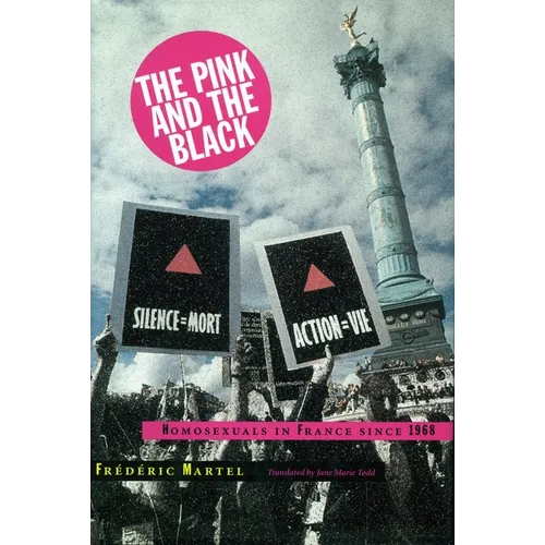 Pink and the Black: Homosexuals in France Since 1968 - Paperback