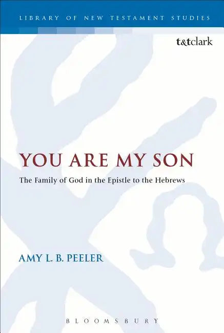 You Are My Son: The Family of God in the Epistle to the Hebrews - Paperback