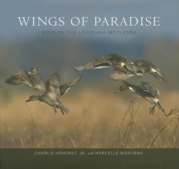 Wings of Paradise: Birds of the Louisiana Wetlands - Hardcover