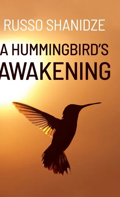 A Hummingbird's Awakening - Hardcover