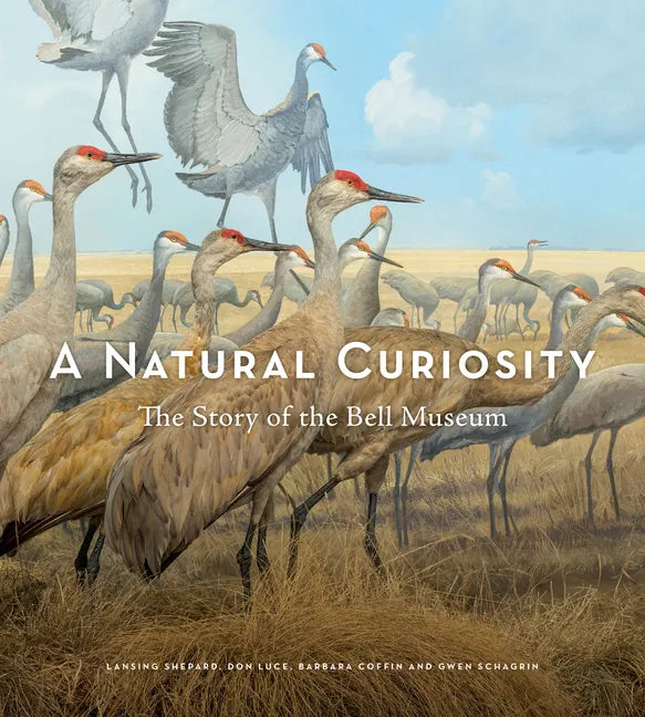 A Natural Curiosity: The Story of the Bell Museum - Hardcover