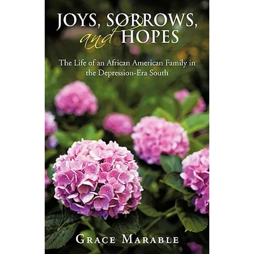 Joys, Sorrows, and Hopes: The Life of an African American Family in the Depression-Era South - Paperback