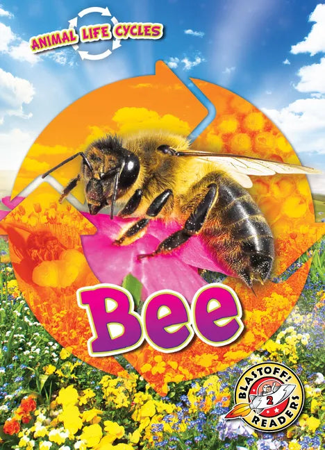 Animal Life Cycles: Bee - Library Binding