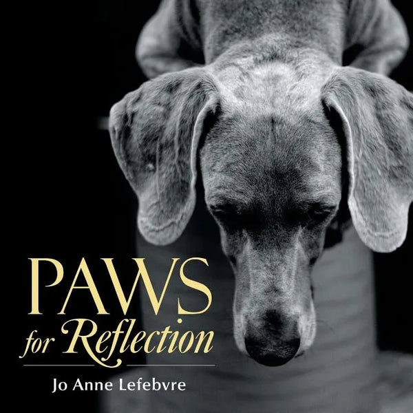 Paws for Reflection - Paperback