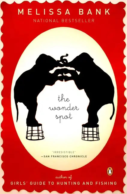 The Wonder Spot - Paperback