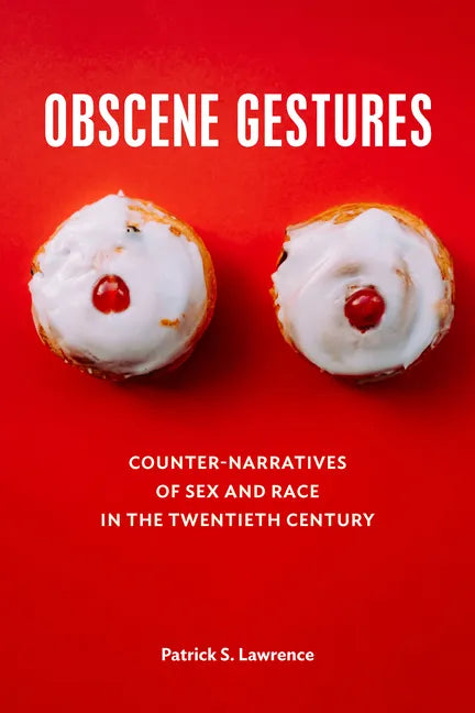 Obscene Gestures: Counter-Narratives of Sex and Race in the Twentieth Century - Paperback
