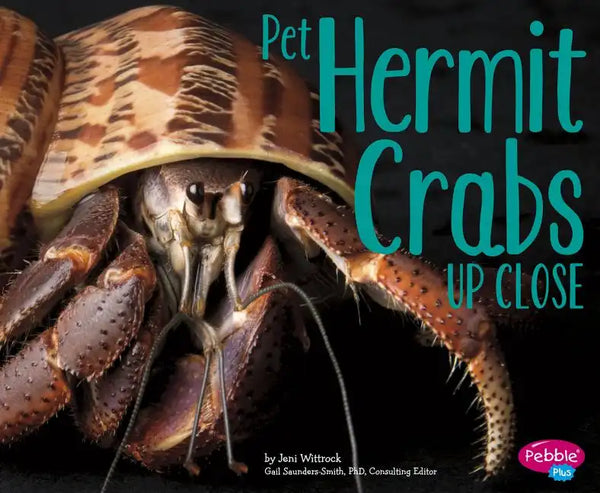 Pet Hermit Crabs Up Close - Paperback