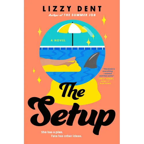 The Setup - Paperback