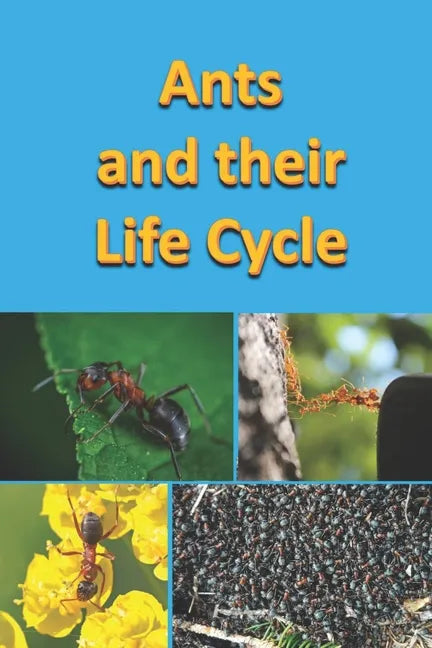 Ants and their Life Cycle - Paperback