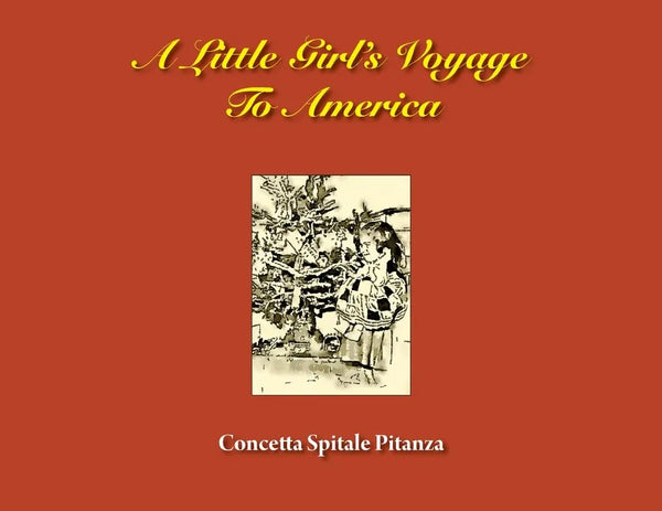 A Little Girl's Voyage To America - Paperback