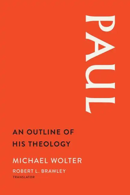 Paul: An Outline of His Theology - Hardcover