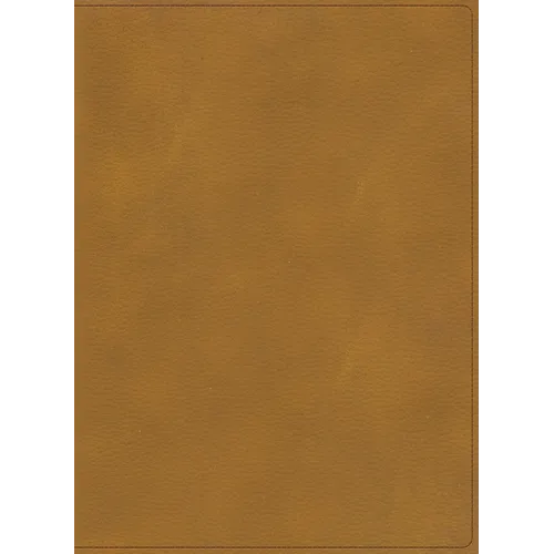 Rvr 1960 Biblia Ilustrada de la Tierra Santa, Café Símil Piel - Imitation Leather