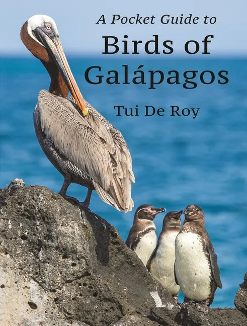 A Pocket Guide to Birds of Galápagos - Paperback